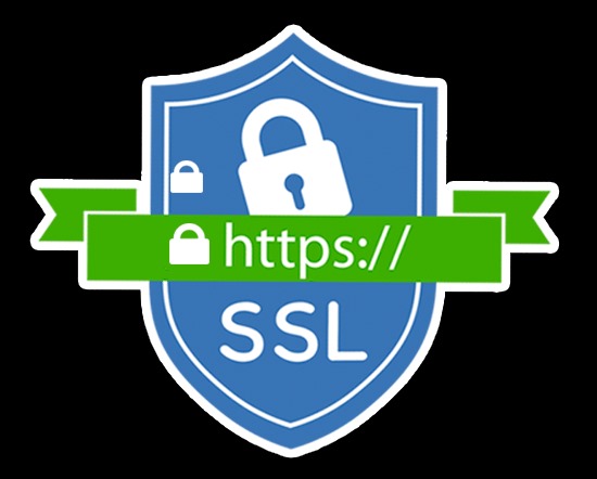 Monitor SSL Logo